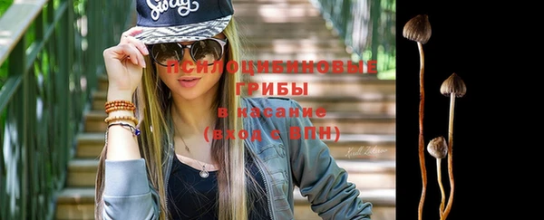 spice Осташков