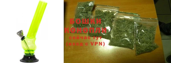 PSILOCYBIN Остров