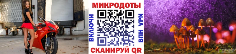 Галлюциногенные грибы мицелий что такое наркотик Межгорье