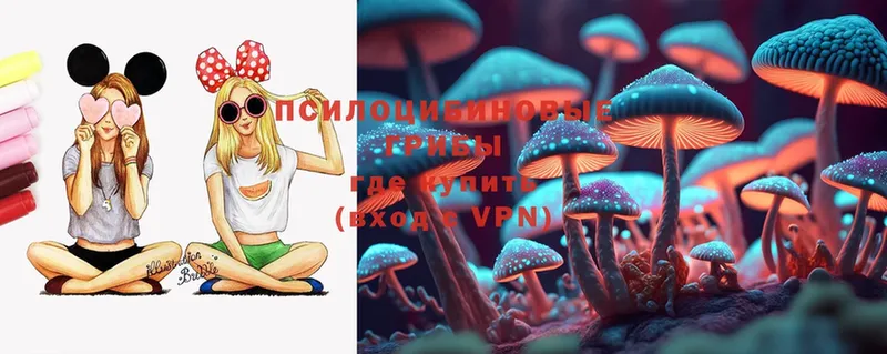 Псилоцибиновые грибы Magic Shrooms  Межгорье 