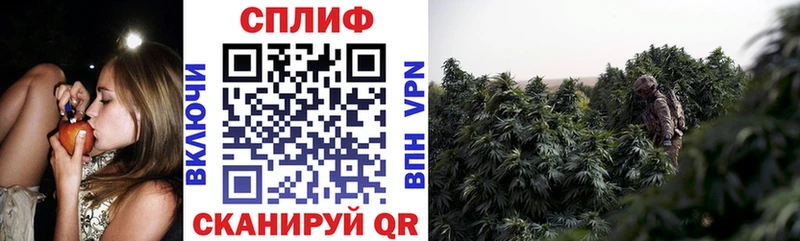 kraken маркетплейс  Межгорье  Конопля OG Kush 